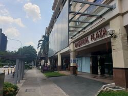 Dunearn Road (D11), Condominium #507201431